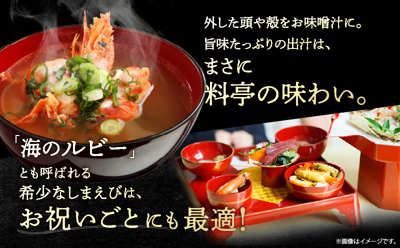 北海しまえび(大)　300g×1箱(13尾前後)_H0001-1221