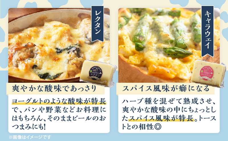 10日以内に発送!!【おおともチーズ工房】《人気No1》定番の手造りナチュラルチーズ詰め合わせ_H0003-101