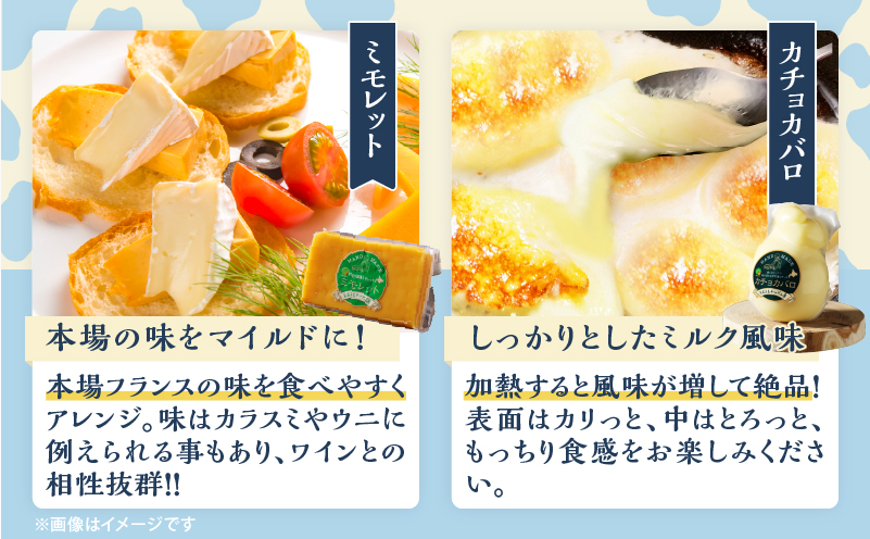 10日以内に発送!!【おおともチーズ工房】《人気No1》定番の手造りナチュラルチーズ詰め合わせ_H0003-101