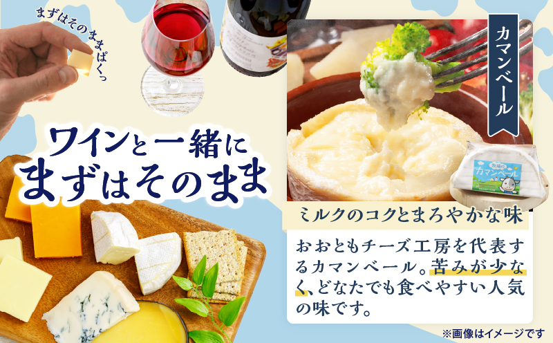 10日以内に発送!!【おおともチーズ工房】《人気No1》定番の手造りナチュラルチーズ詰め合わせ_H0003-101