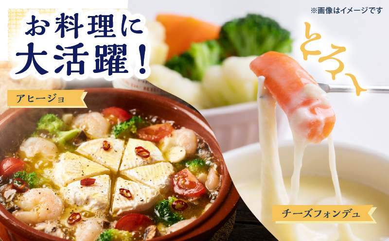 10日以内に発送!!【おおともチーズ工房】《人気No1》定番の手造りナチュラルチーズ詰め合わせ_H0003-101