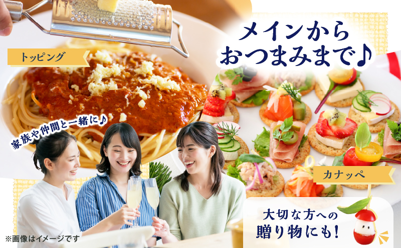 10日以内に発送!!【おおともチーズ工房】《人気No1》定番の手造りナチュラルチーズ詰め合わせ_H0003-101