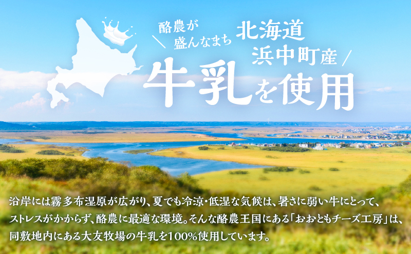 10日以内に発送!!【おおともチーズ工房】《人気No1》定番の手造りナチュラルチーズ詰め合わせ_H0003-101