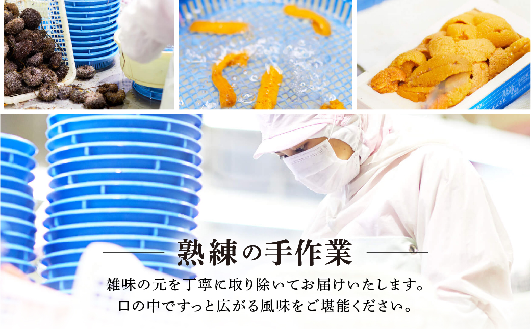 ≪氷温熟成≫塩水うに(天然バフンウニ)　100g×1パック_H0009-103
