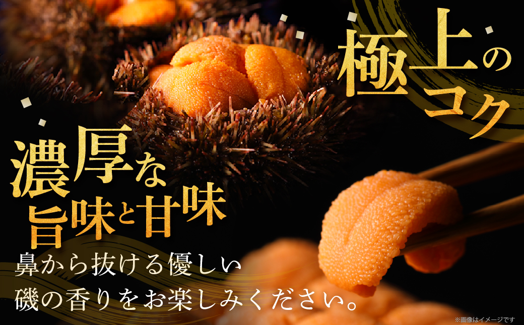 ≪氷温熟成≫塩水うに(天然バフンウニ)　100g×1パック_H0009-103