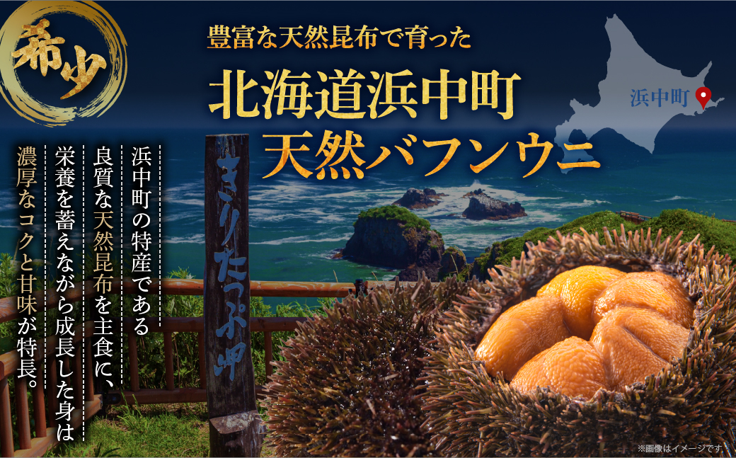 ≪氷温熟成≫塩水うに(天然バフンウニ)　100g×1パック_H0009-103