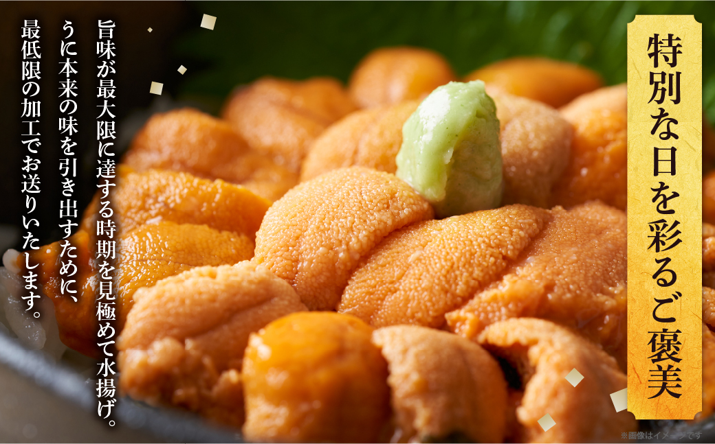 ≪氷温熟成≫塩水うに(天然バフンウニ)　100g×1パック_H0009-103