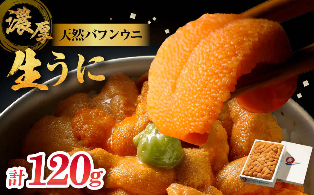 ≪氷温熟成≫生折うに(天然バフンウニ)　120g×1枚_H0009-101