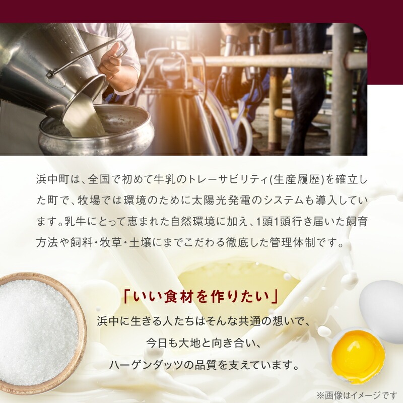 ããŒã²ã³ããããããã«ãã12åã»ãã(ããã©å³)ãã¢ã€ã¹ã¯ãªãŒã ã¢ã€ã¹ ã¹ã€ãŒã ãã¶ãŒã_H0016-019