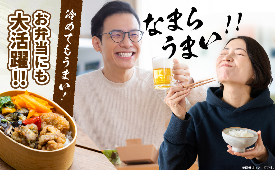 HAMALABO　ザンギセット_H0020-101