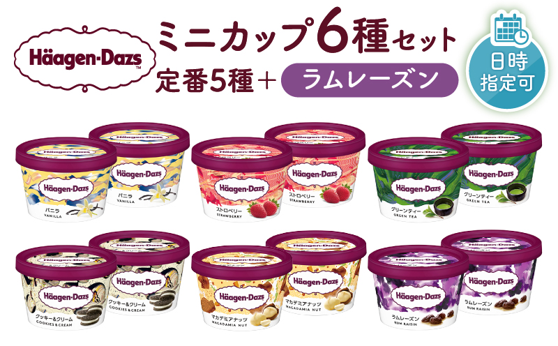 【着日指定できます】ハーゲンダッツ『ミニカップ12個セット（定番フレーバー＆ラムレーズン味）』アイスクリーム アイス スイーツ デザート_H0016-113