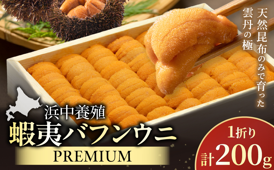 ≪浜中養殖≫蝦夷バフンウニ(200g)折箱入り　200g×一折り_H0038-102