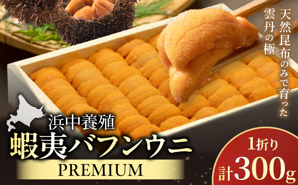 ≪浜中養殖≫蝦夷バフンウニ(300g)折箱入り　300g×一折り_H0038-103