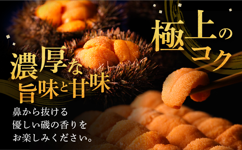 ≪氷温熟成≫塩水うに(天然バフンウニ)　100g×1パック_110409
