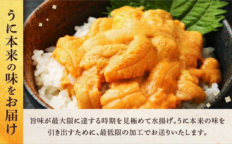 ≪氷温熟成≫塩水うに(天然バフンウニ)　100g×1パック_110409