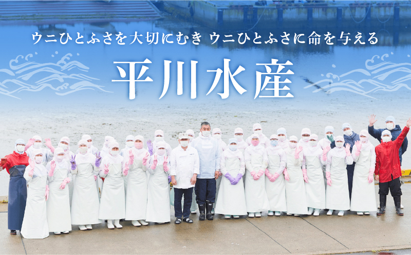 ≪氷温熟成≫塩水うに(天然バフンウニ)　100g×1パック_110409