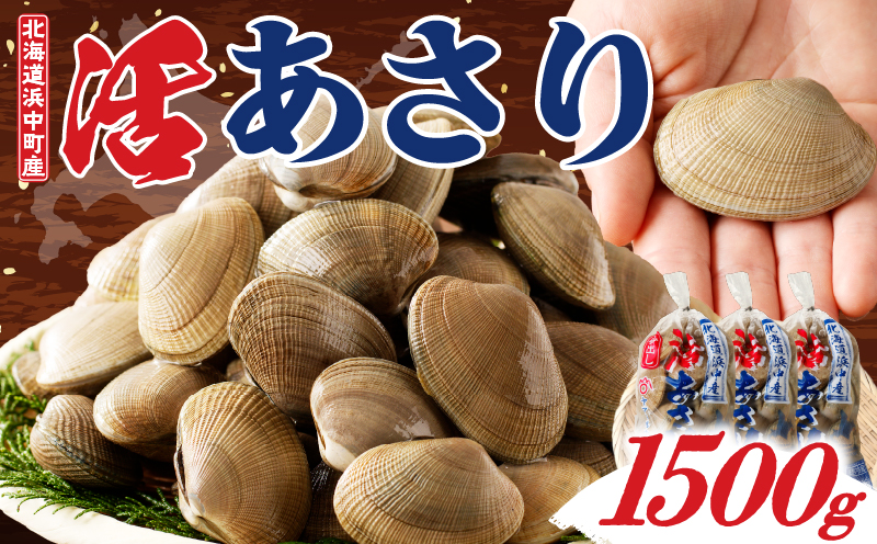 1月～3月発送分《先行予約・期間限定》浜中町産活あさり(500g×3袋セット)_230106-01