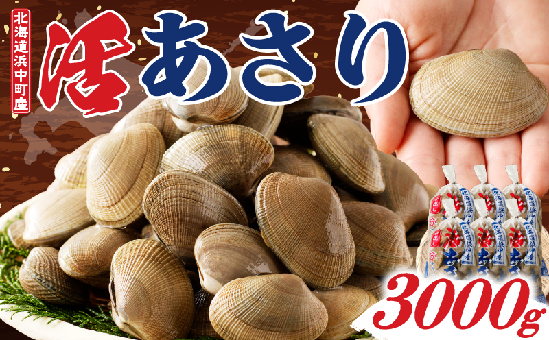 4月～6月発送分《先行予約・期間限定》浜中町産活あさり(500g×6袋セット)_230205-02