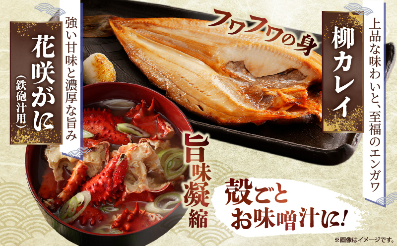 【14日以内に発送】『漁師おすすめ富士丸セット(合計5種)』北海道浜中町産_H0023-141