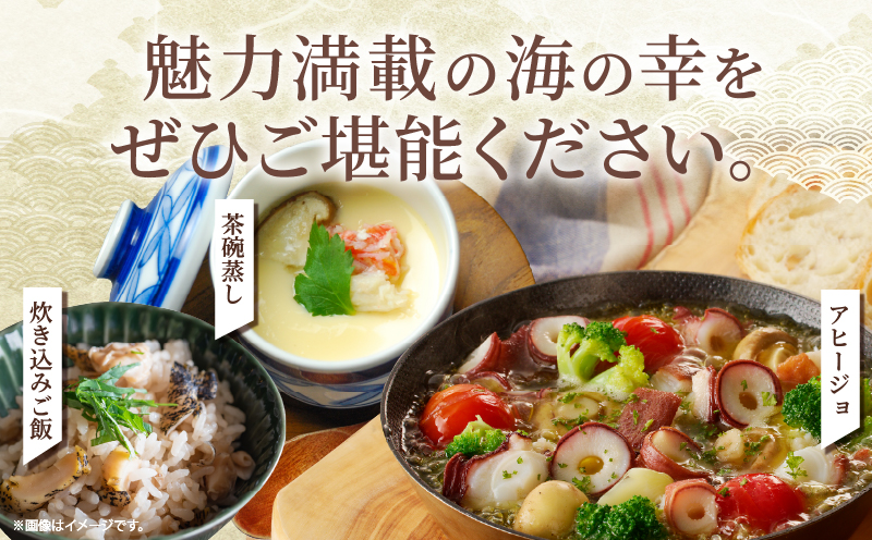 【14日以内に発送】『漁師おすすめ富士丸セット(合計5種)』北海道浜中町産_H0023-141