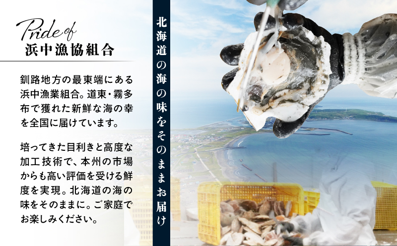 【北海道浜中町産】焼き魚4種セット_H0001-111