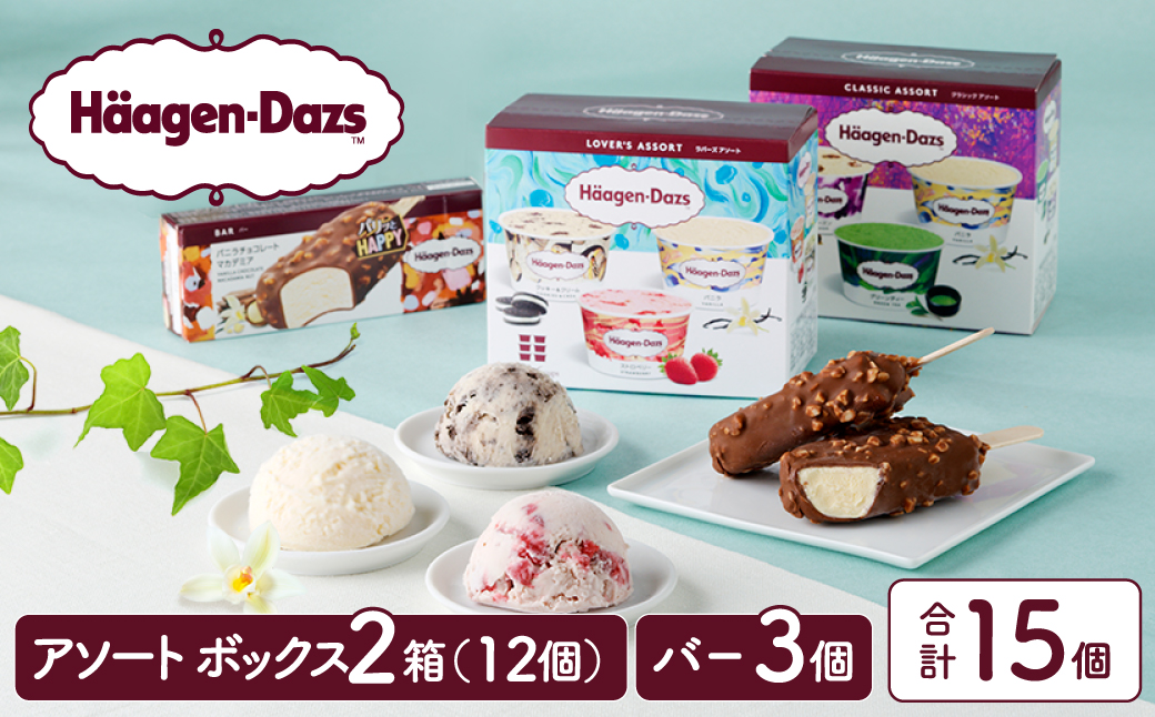 ハーゲンダッツ バラエティセット(アソート＆バー3本) アイス スイーツ デザート_H0026-100
