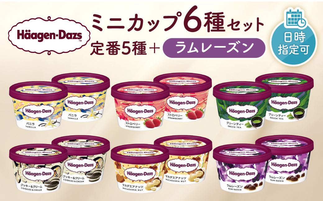 【着日指定できます】ハーゲンダッツ『ミニカップ12個セット（定番フレーバー＆ラムレーズン味）』アイスクリーム アイス スイーツ デザート_H0016-113