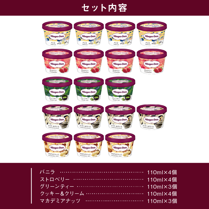 【着日指定できます!!】ハーゲンダッツ『定番ミニカップ5種セット(合計18個)』アイスクリーム アイス スイーツ デザート_H0016-016