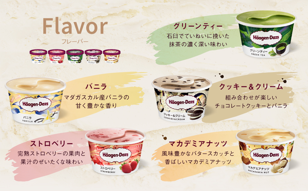 【着日指定できます!!】ハーゲンダッツ『定番ミニカップ5種セット(合計18個)』アイスクリーム アイス スイーツ デザート_H0016-127