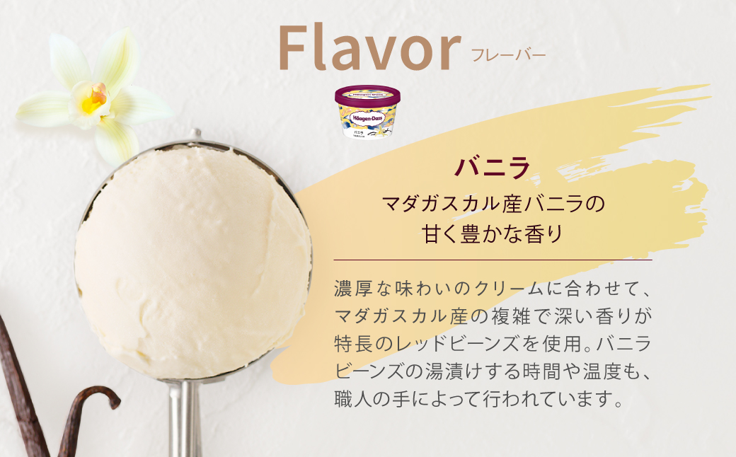 ハーゲンダッツ『ミニカップ24個セット(バニラ味)』アイスクリーム アイス スイーツ デザート_H0016-129