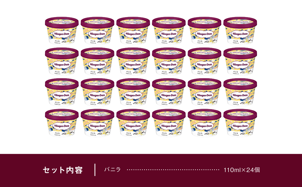 ハーゲンダッツ『ミニカップ24個セット(バニラ味)』アイスクリーム アイス スイーツ デザート_H0016-129