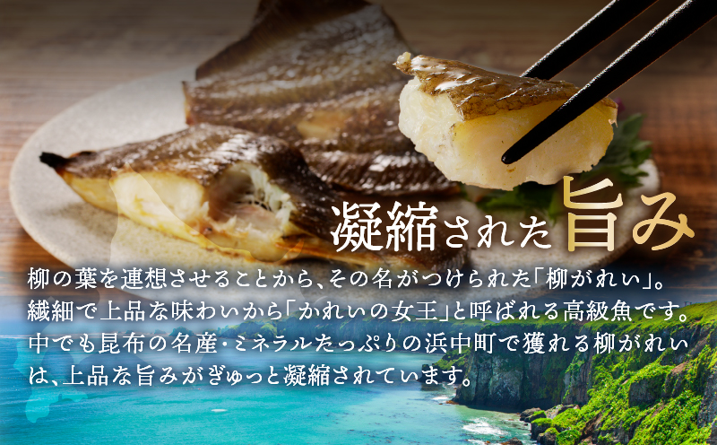 【北海道浜中町産】柳がれい一夜干し<特大>　600g以上(4切入り×2袋)_H0023-018