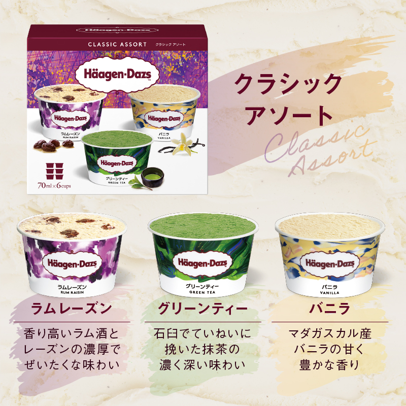 ハーゲンダッツ バラエティセット(アソート＆ミニカップ) アイス スイーツ デザート_H0026-102