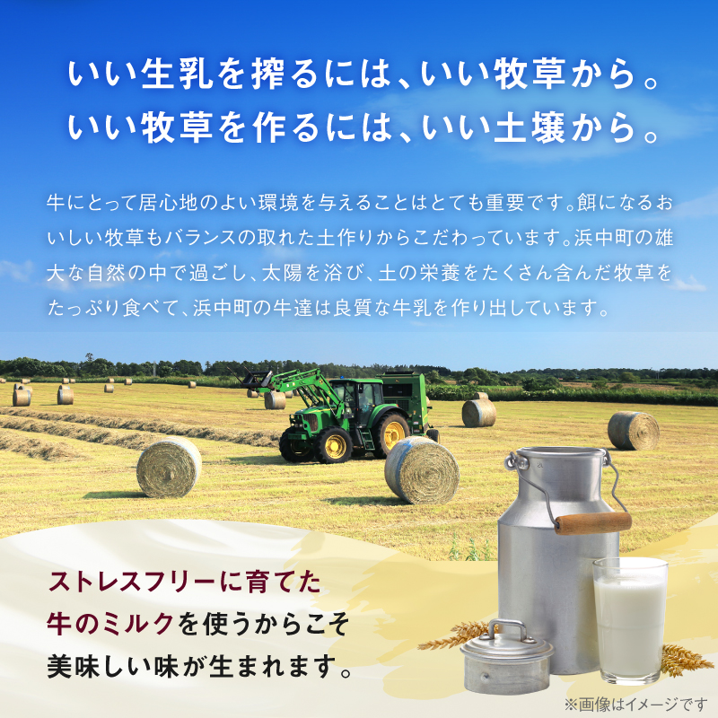 ＜全6回定期便・連続＞ハーゲンダッツ『クリスピーサンドセット（ザ・リッチキャラメル味）計36個』アイスクリーム アイス スイーツ デザート_H0026-039