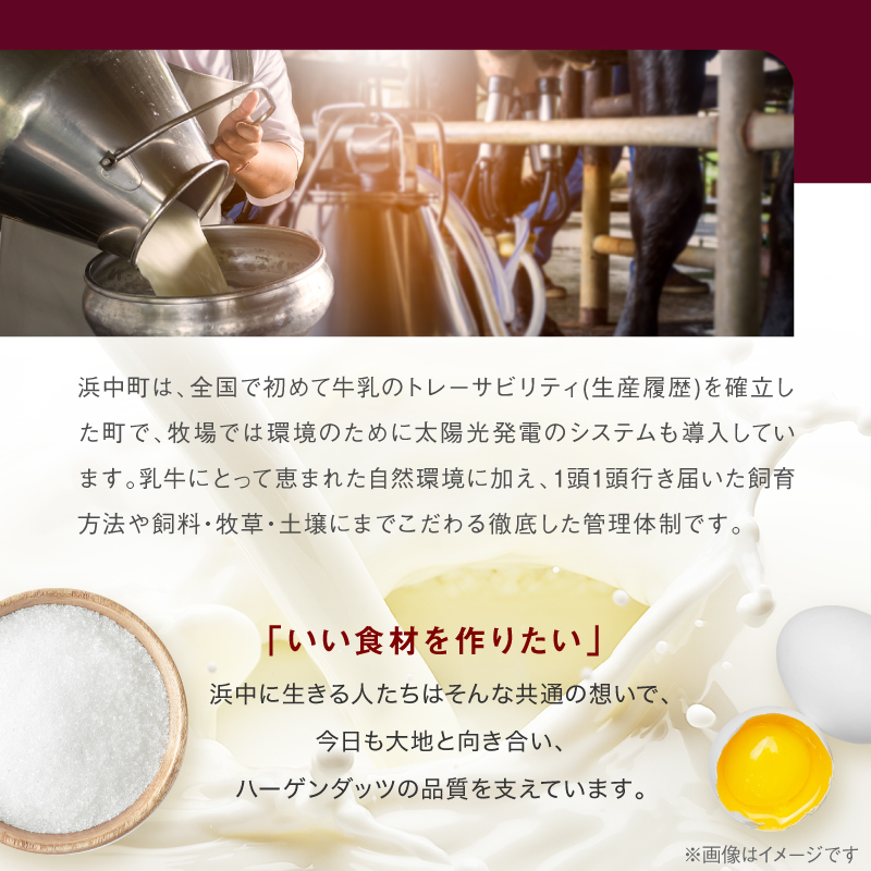 ＜全6回定期便・連続＞ハーゲンダッツ『ミニカップ＆クリスピーサンドセット(合計72個)』アイスクリーム アイス スイーツ デザート_H0016-138