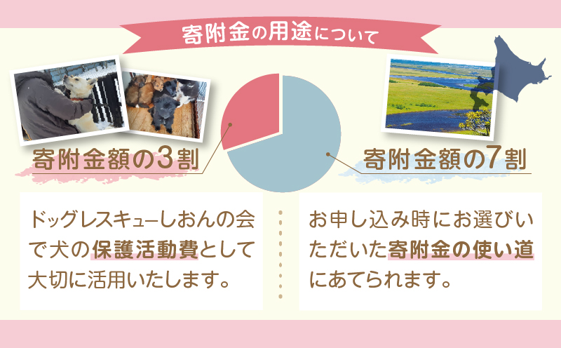 【野犬の保護活動】浜中町「ドッグレスキューしおんの会」を支援　1000円分 返礼品なし_H0039-001