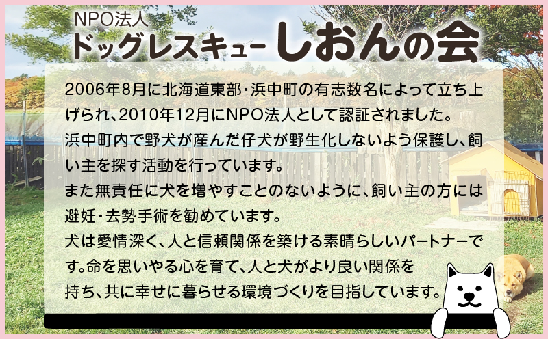 【野犬の保護活動】浜中町「ドッグレスキューしおんの会」を支援　1000円分 返礼品なし_H0039-001