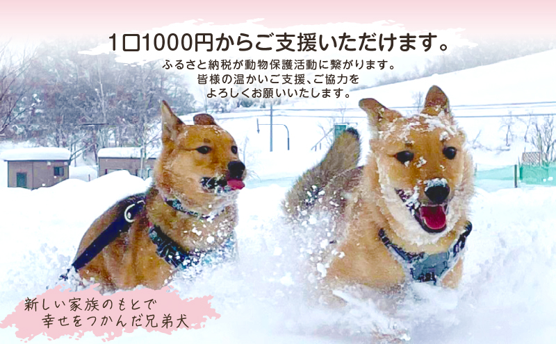 【野犬の保護活動】浜中町「ドッグレスキューしおんの会」を支援　1000円分 返礼品なし_H0039-001