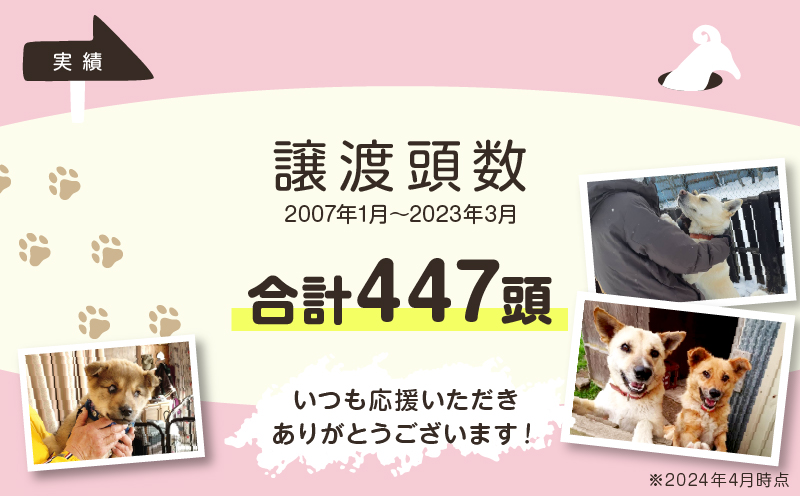 【野犬の保護活動】浜中町「ドッグレスキューしおんの会」を支援　2000円分 返礼品なし_H0039-002