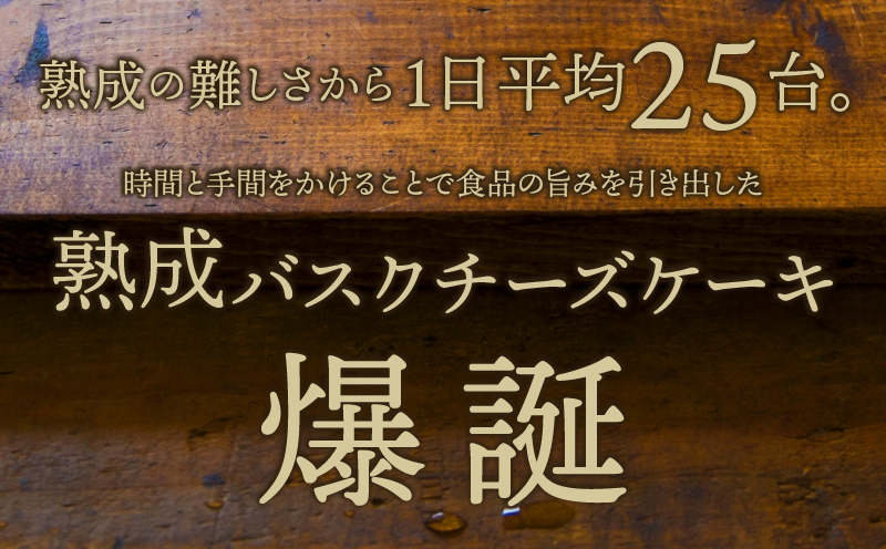 ≪父の日までにお届け!!≫熟成と非熟成バスクチーズケーキ食べ比べセット_H0041-101-fa