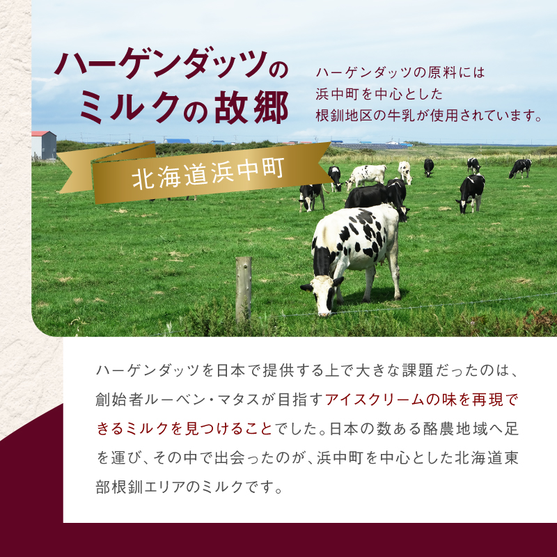 ＜全6回定期便・隔月＞ハーゲンダッツ『ミニカップ＆クリスピーサンドセット(合計72個)』アイスクリーム アイス スイーツ デザート_H0016-141