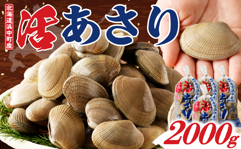 4月～6月発送分《先行予約・期間限定》浜中町産活あさり(500g×4袋セット)_H0023-030-02