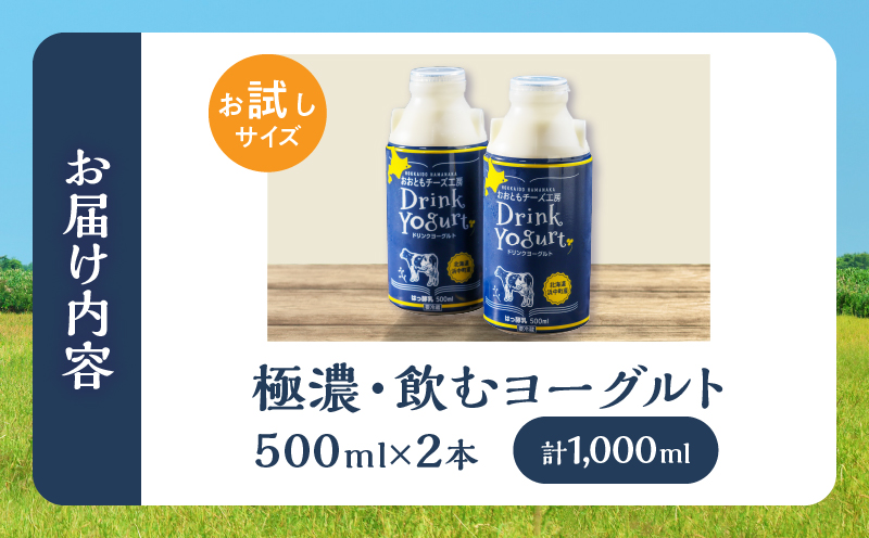 まずはお試し!!【おおともチーズ工房】極濃・飲むヨーグルト　500ml×2本_H0003-011