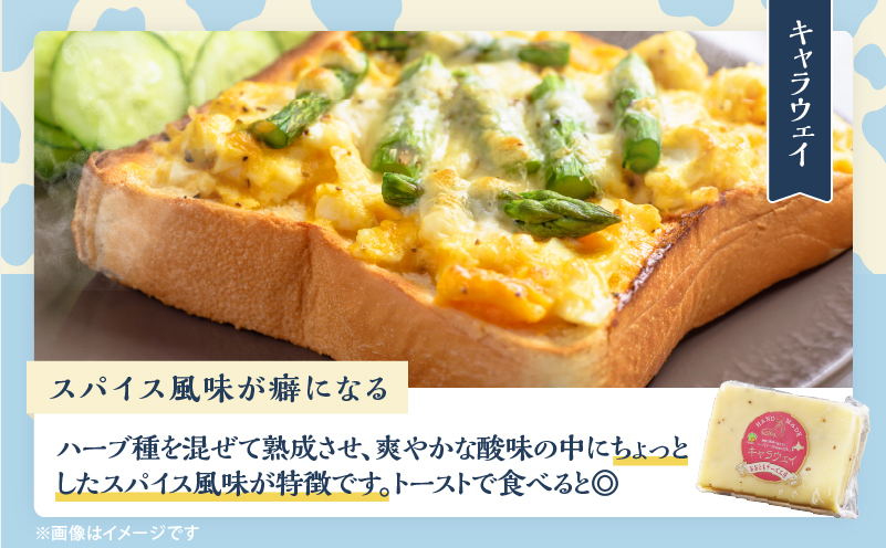 【おおともチーズ工房】《熟成の旨味を堪能!!》熟成セミハードチーズ3種セット_H0003-017