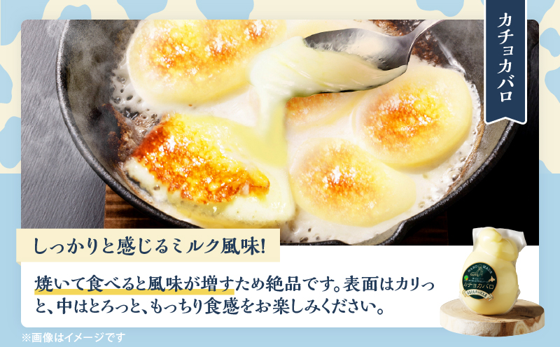 【おおともチーズ工房】《おつまみ＆お料理に!!》カットチーズ＆カチョカバロセット_H0003-020