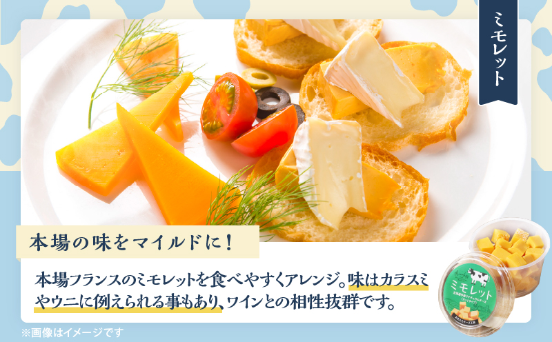 【おおともチーズ工房】《おつまみ＆お料理に!!》カットチーズ＆カチョカバロセット_H0003-020