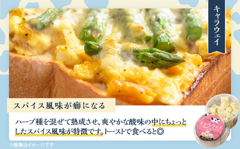 【おおともチーズ工房】《おつまみ＆お料理に!!》カットチーズ＆カチョカバロセット_H0003-020