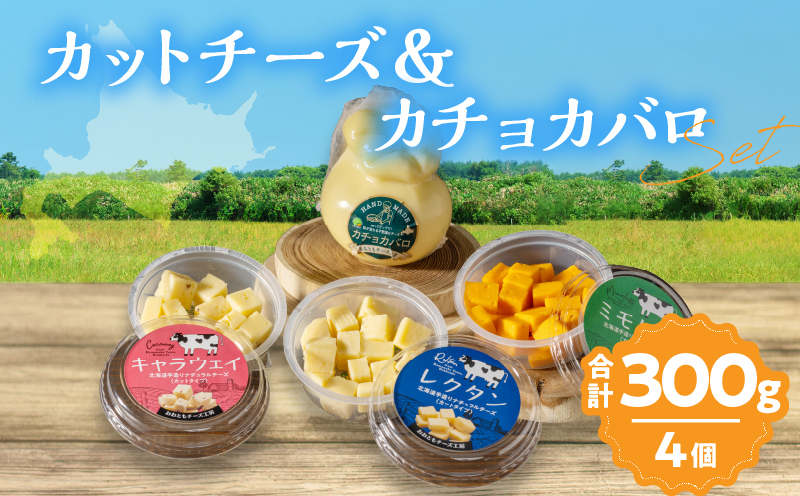 【おおともチーズ工房】《おつまみ＆お料理に!!》カットチーズ＆カチョカバロセット_H0003-020