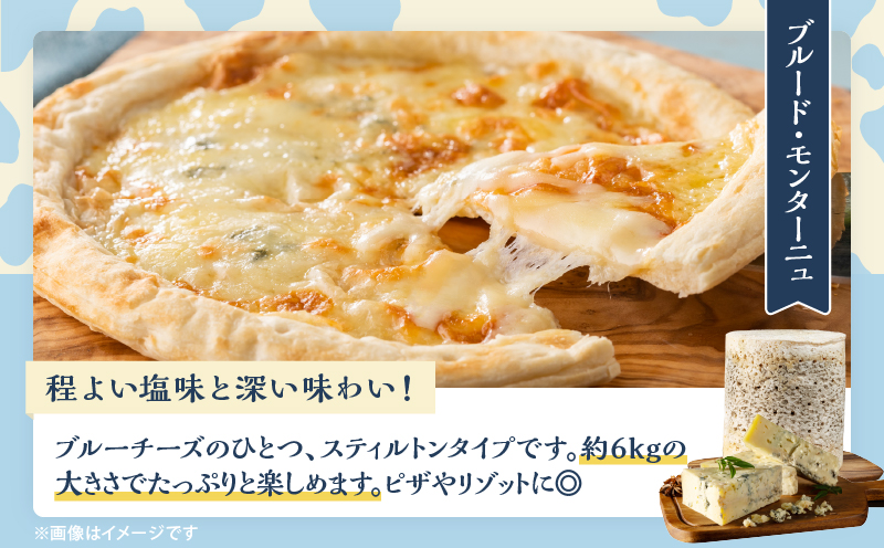 【おおともチーズ工房】《熟成庫から直送!!》業務用サイズのブルーチーズホール(1個あたり6kg)_H0003-036