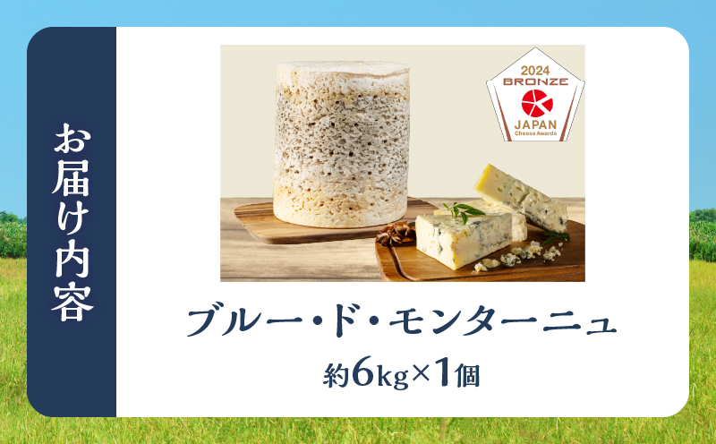 【おおともチーズ工房】《熟成庫から直送!!》業務用サイズのブルーチーズホール(1個あたり6kg)_H0003-036